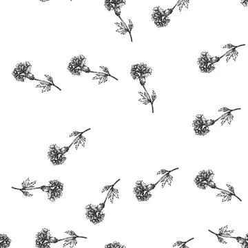 Seamless pattern flower marigold sketch hand drawn Stock Illustration