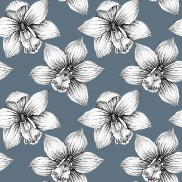 Seamless pattern with flower orchid. Pencil drawing illustration. The print Stock Illustration