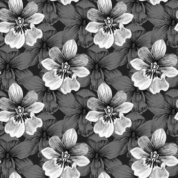 Seamless pattern with flower orchid. Pencil drawing illustration. The print Illustrazione stock