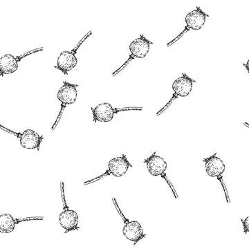 Seamless pattern flower poppy sketch hand drawn Stock Illustration