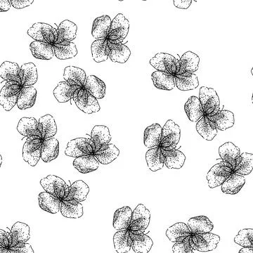 Seamless pattern flower sakura sketch hand drawn Stock Illustration