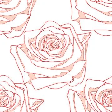 Seamless pattern flowering rose Illustrazione stock