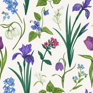 Seamless pattern with flowers and herbs. Stock Illustration
