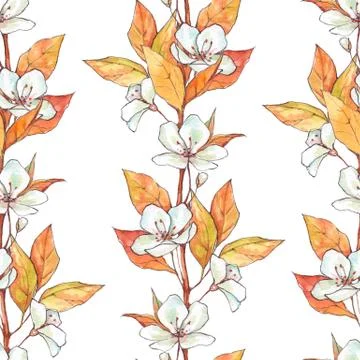 Seamless pattern with flowers and leaves. Floral background, han Stock Illustration