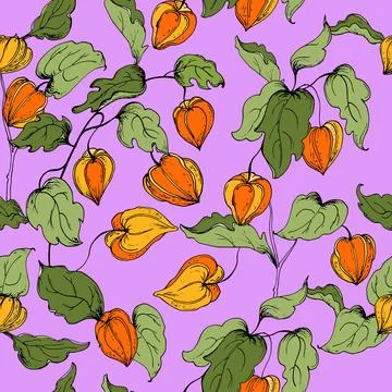 Seamless pattern with flowers and  leaves of physalis. Vector illustration Stock Illustration