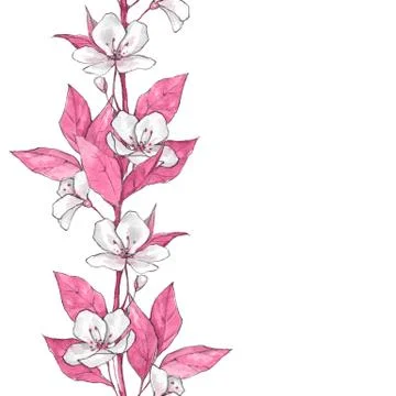 Seamless pattern with flowers and pink leaves Stock-Illustration