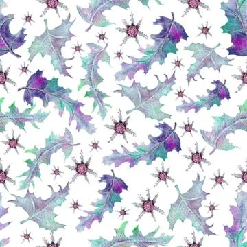 Seamless pattern with flowers and Thistle leaves on a white background. Flowe Stock Illustration