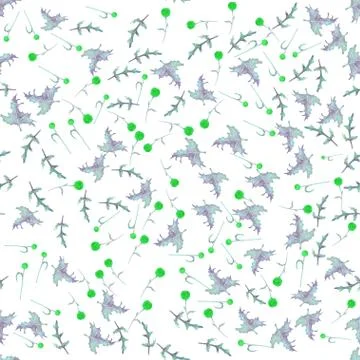 Seamless pattern with flowers and Thistle leaves on a white background. Flowe Stock Illustration