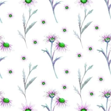 Seamless pattern with flowers and Thistle leaves on a white background. Flowe Stock Illustration
