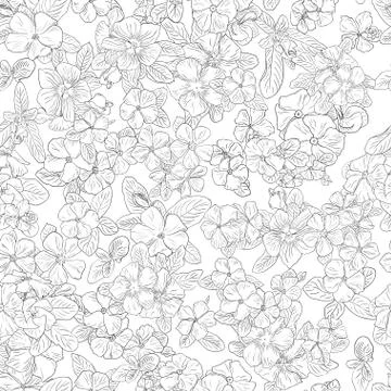 Seamless pattern with flowers on background. Wallpaper with flower texture. B Stock-Illustration
