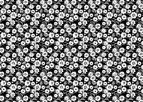 Seamless pattern with flowers. Black and white floral background. Stock Illustration