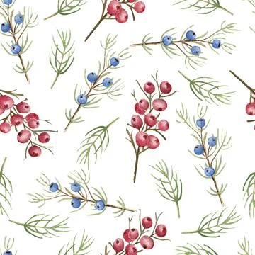 Seamless pattern with flowers of blue and red berries. Watercolor Christmas Stock Illustration