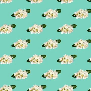 Seamless pattern with flowers on a bright background. Minimal isometric food  Stock Photos