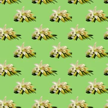 Seamless pattern with flowers on a bright background. Minimal isometric food  Stock Photos