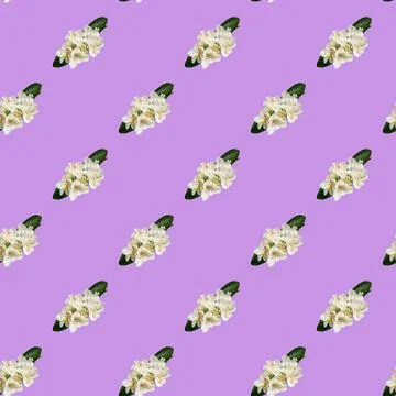 Seamless pattern with flowers on a bright background. Minimal isometric food  Stock Photos