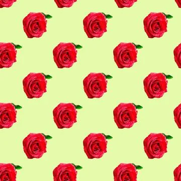 Seamless pattern with flowers on a bright background. Minimal isometric food  Фото