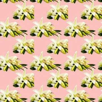 Seamless pattern with flowers on a bright background. Minimal isometric food  写真素材
