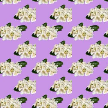 Seamless pattern with flowers on a bright background. Minimal isometric food  写真素材