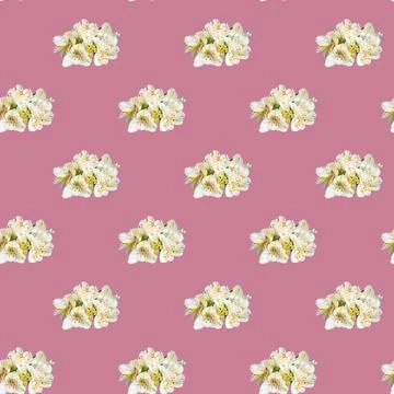 Seamless pattern with flowers on a bright background. Minimal isometric food  스톡 사진