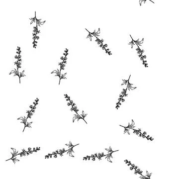 Seamless pattern flowers delphinium sketch hand drawn Stock Illustration