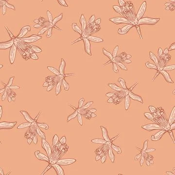 Seamless pattern flowers engraved. Vintage background of garden floral in han Stock Illustration