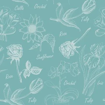 Seamless pattern with  flowers. Iris, calla lily, tulip, orchid, sunflower an Illustrazione stock