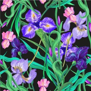 Seamless pattern with flowers. Iris. Lily. Vector. Hand drawn. Black background Stock Illustration