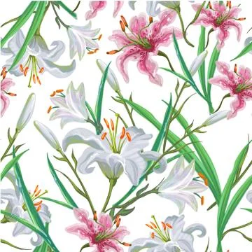 Seamless pattern with flowers. Iris. Lily. Vector. Hand drawn. Stock Illustration