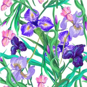 Seamless pattern with flowers. Iris. Vector. Hand drawn. Stock Illustration