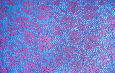 Seamless pattern with flowers, lace. Stock Photos