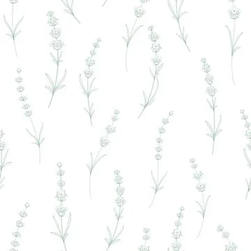 Seamless pattern from flowers of lavender on a white background. Stock Illustration