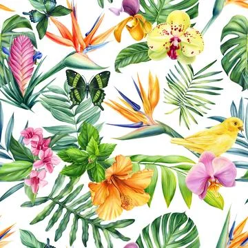 Seamless pattern Flowers, palm leaves, butterfly, bird. Watercolor Tropical Stock Illustration