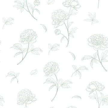 Seamless pattern from flowers of peonies on a white background. Illustrazione stock