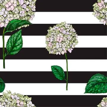 Seamless pattern with flowers of phlox on black and white striped background. Stock Illustration