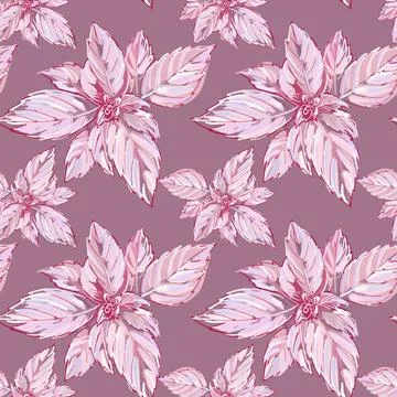 Seamless pattern. Flowers. Pink leaves of a basil plant on a Turkish pink Stock Illustration