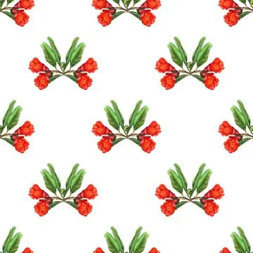Seamless pattern with flowers of pomegranate Stock Illustration