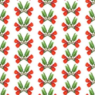 Seamless pattern with flowers of pomegranate Stock Illustration