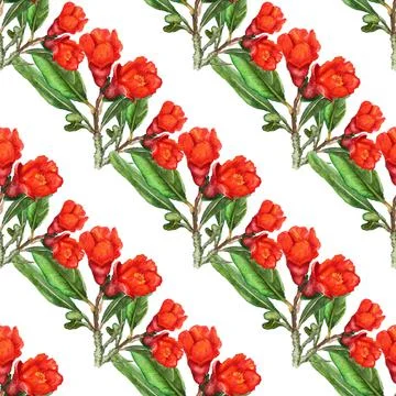 Seamless pattern with flowers of pomegranate Stock Illustration