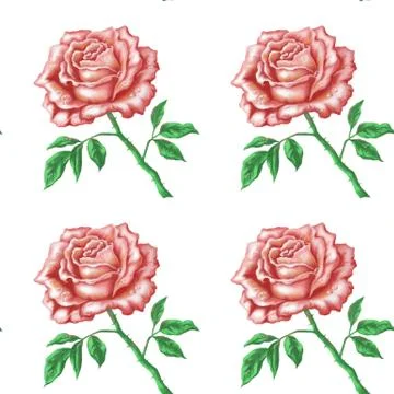 Seamless pattern, flowers rose Stock Illustration