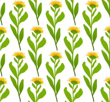 Seamless pattern with flowers vector background Stock Illustration