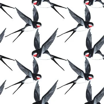Seamless pattern fly birds swallow on white. Art creative hand drawn marker Stock Illustration