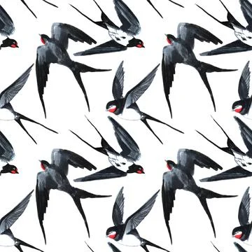 Seamless pattern fly birds swallow on white. Art creative hand drawn marker Stock Illustration