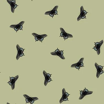 Seamless pattern fly butterfly cartoon vector Stock Illustration