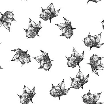 Seamless pattern fly cotton plant sketch hand drawn Illustrazione stock