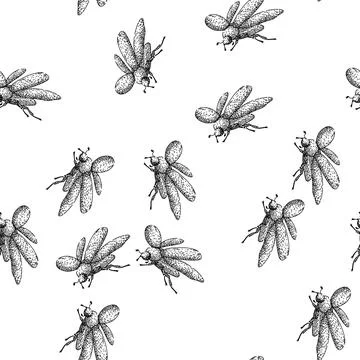 Seamless pattern Flying scarab beetle insect sketch drawing illustration イラスト素材