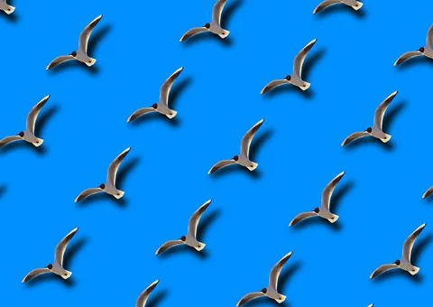 Seamless pattern with a flying seagull on a blue background. Stock Photos