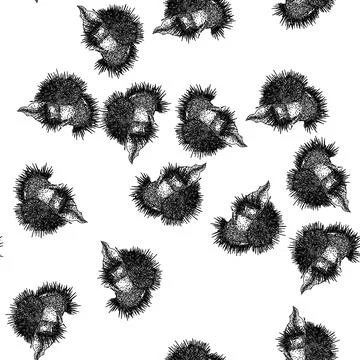 Seamless pattern food chestnut sketch hand drawn 스톡 일러스트