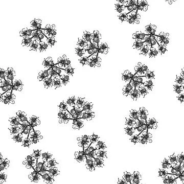 Seamless pattern food cumin sketch hand drawn Illustrazione stock