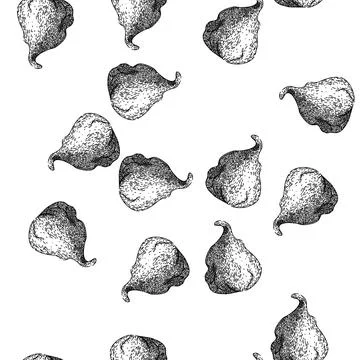 Seamless pattern food fig sketch hand drawn Stock Illustration