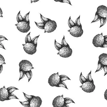 Seamless pattern food lychees sketch hand drawn Stock Illustration